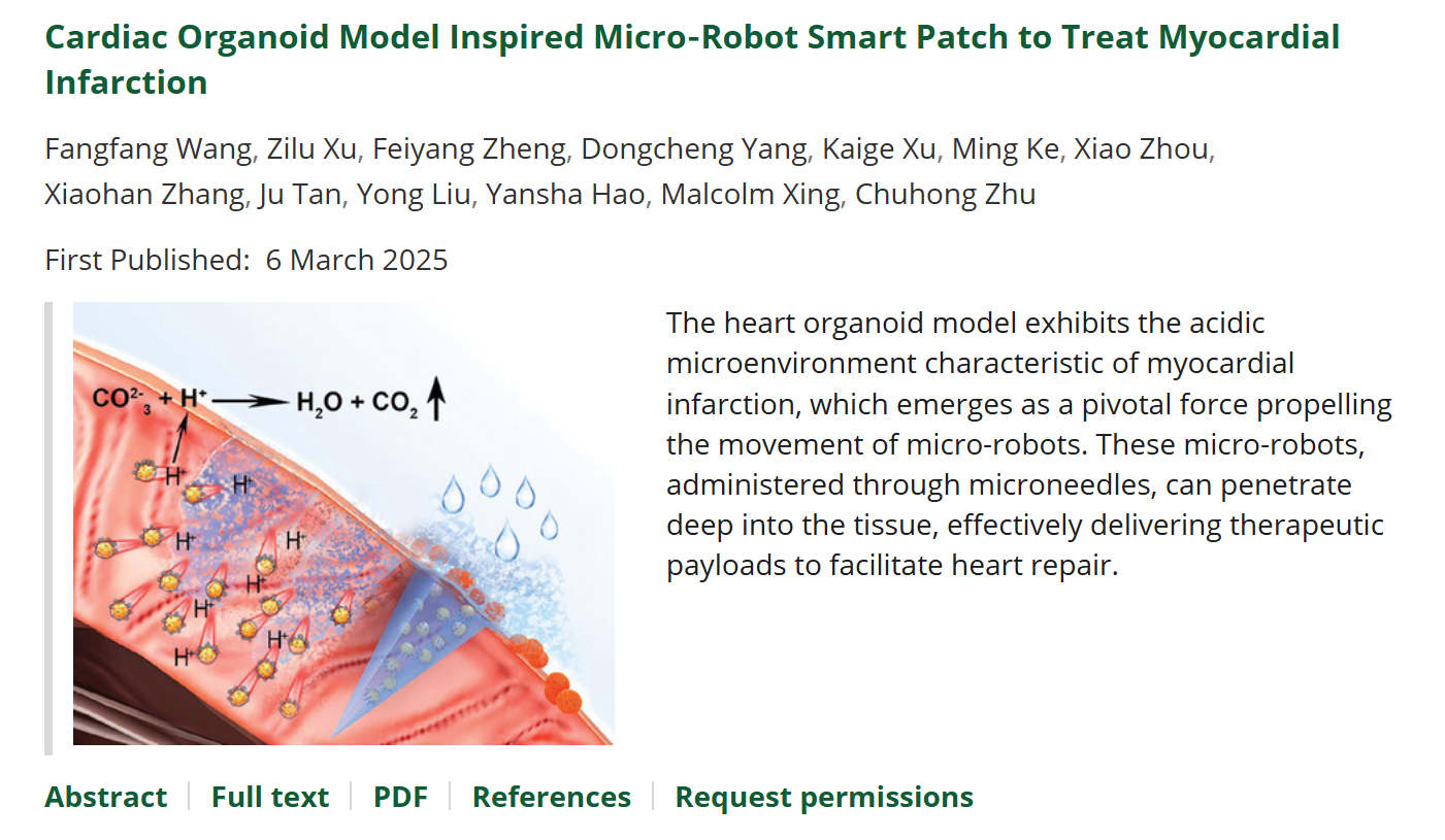 《AM》心脏类器官启发的微型机器人智能补片治疗心肌梗死