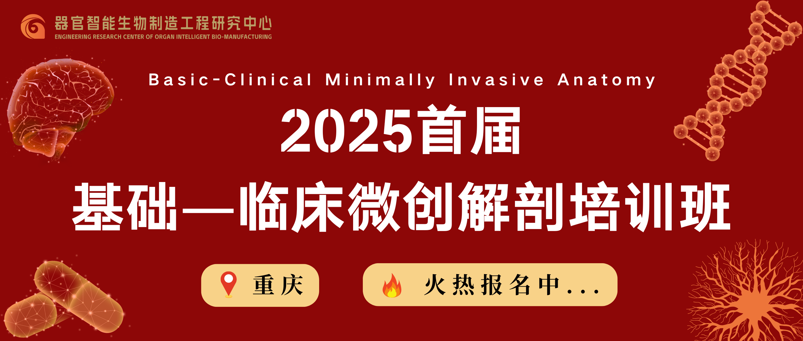 2025首届基础—临床微创解剖培训班（重庆）火热报名中！
